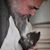 Sabrina Loforte's profile image