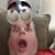 Donnie Hoggard's profile image