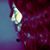 Silvia Juarez's profile image