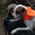 Zach Day's profile image