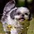 Mike Bozyczko's profile image