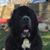 Kim Green-Parlato's profile image