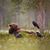 Tammy Mullins Campton's profile image