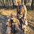 Michael C Drebes's profile image