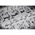 Irfan Arif's profile image