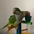 Chuck Kibby's profile image