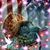 Jerry Pashea's profile image