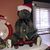 Michelle Rice Trobliger's profile image