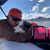 Craig Cascelli's profile image