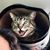 Rachel Roberts's profile image
