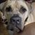 Kathy Sarles's profile image