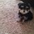 MIchelle Hirschfeld Arnold's profile image