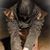 Debraj Nag's profile image