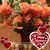 Sandra Darnell's profile image