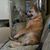 Mary Bobenia's profile image