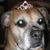 Kathy Anderson's profile image