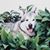 Shannan DeWitt's profile image