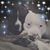 Amy Dicker's profile image