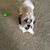 Ona Mae Risor Courville's profile image