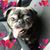 San Love's profile image