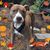 Brenda Knower's profile image