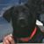 Debbie Epperson's profile image