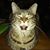 Mary Hihn's profile image