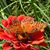 Deborah Blakeney's profile image