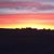 Sue Poling Belden's profile image