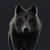 Bernie Riegel's profile image