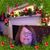 Nancy Sorice Herbert's profile image