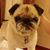 Dave Oliveri's profile image