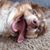 Angelique Michaels's profile image