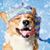 Kim Dell Eckhardt's profile image