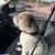 Walter J Santiesteban's profile image