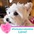 Kim McKenna's profile image