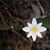 Lori Ann Murphy Roberts's profile image