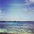Paula Bezzoso's profile image