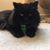 Donna Klos's profile image