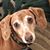 Katrina Hohmann's profile image