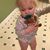 Teresa J. Mantz's profile image