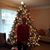 Sandra Liebertz's profile image
