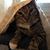 Deidre Eby Kesler's profile image