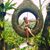 Anne Hanson Coover's profile image