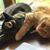 Cathy Fink's profile image