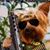 John M Wilkinson Jr.'s profile image