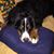 Susan Brown's profile image