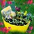 Dana Grebel's profile image
