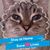 Suzette Meisner Ging's profile image