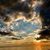 Susan Katzman's profile image